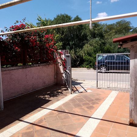 Villa Sa Minda Noa 2 Camere 2 Bagni Aria Condizionata E Giardino Ольбія Екстер'єр фото